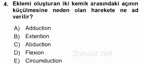 Temel Veteriner Anatomi 2016 - 2017 Ara Sınavı 4.Soru