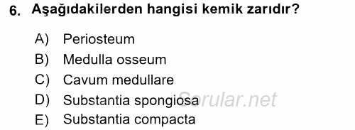 Temel Veteriner Anatomi 2016 - 2017 Ara Sınavı 6.Soru