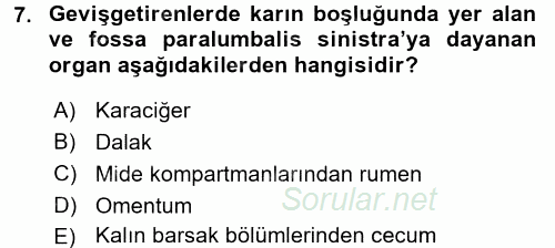 Temel Veteriner Anatomi 2016 - 2017 Ara Sınavı 7.Soru