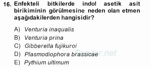 Fitopatoloji 2013 - 2014 Ara Sınavı 16.Soru