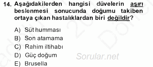 Temel Yem Bilgisi ve Hayvan Besleme 2014 - 2015 Dönem Sonu Sınavı 14.Soru