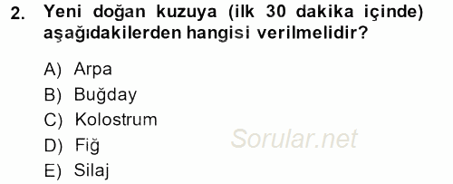 Temel Yem Bilgisi ve Hayvan Besleme 2014 - 2015 Dönem Sonu Sınavı 2.Soru