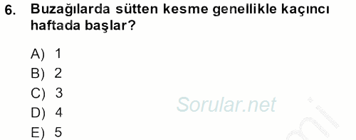 Temel Yem Bilgisi ve Hayvan Besleme 2014 - 2015 Dönem Sonu Sınavı 6.Soru