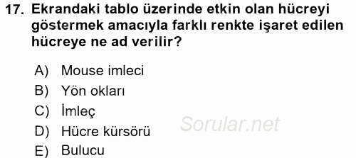 Temel Bilgi Teknolojileri 1 2016 - 2017 Ara Sınavı 17.Soru