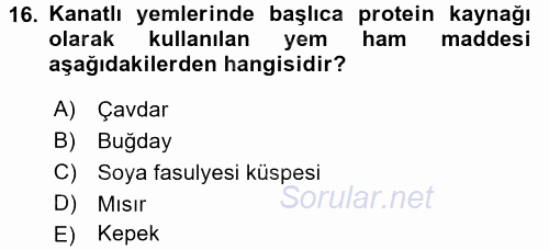 Temel Yem Bilgisi ve Hayvan Besleme 2016 - 2017 Dönem Sonu Sınavı 16.Soru
