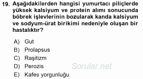 Temel Yem Bilgisi ve Hayvan Besleme 2016 - 2017 Dönem Sonu Sınavı 19.Soru