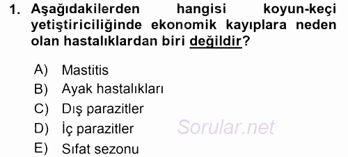 Temel Sürü Sağlığı Yönetimi 2017 - 2018 Dönem Sonu Sınavı 1.Soru