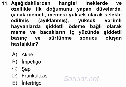 Temel Sürü Sağlığı Yönetimi 2017 - 2018 Dönem Sonu Sınavı 11.Soru