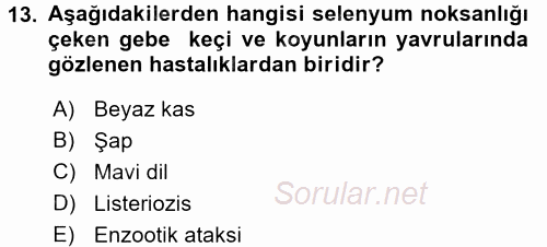 Temel Sürü Sağlığı Yönetimi 2017 - 2018 Dönem Sonu Sınavı 13.Soru