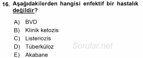Temel Sürü Sağlığı Yönetimi 2017 - 2018 Dönem Sonu Sınavı 16.Soru