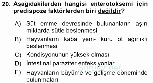 Temel Sürü Sağlığı Yönetimi 2017 - 2018 Dönem Sonu Sınavı 20.Soru
