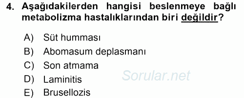 Temel Sürü Sağlığı Yönetimi 2017 - 2018 Dönem Sonu Sınavı 4.Soru