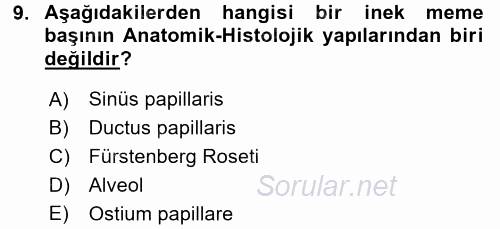 Temel Sürü Sağlığı Yönetimi 2017 - 2018 Dönem Sonu Sınavı 9.Soru