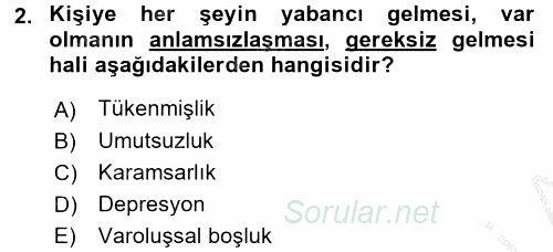 Yaşlılarda Çatışma Ve Stres Yönetimi 2 2016 - 2017 Ara Sınavı 2.Soru