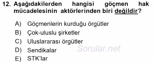 Yeni Toplumsal Hareketler 2016 - 2017 3 Ders Sınavı 12.Soru