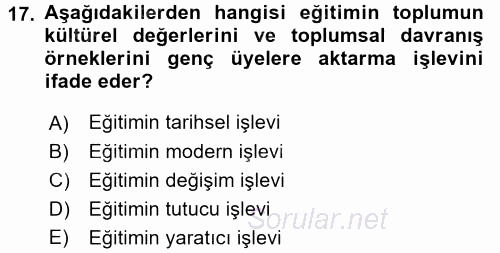 Yeni Toplumsal Hareketler 2016 - 2017 3 Ders Sınavı 17.Soru