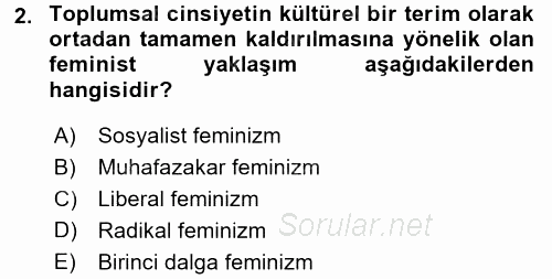 Yeni Toplumsal Hareketler 2016 - 2017 3 Ders Sınavı 2.Soru