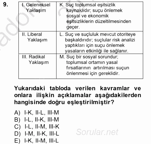 Suç Önleme Modelleri 2014 - 2015 Ara Sınavı 9.Soru