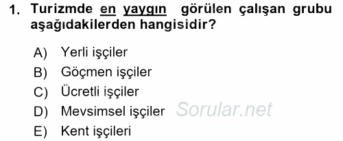 Turizm Sosyolojisi 2015 - 2016 Tek Ders Sınavı 1.Soru