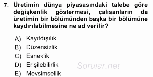 Turizm Sosyolojisi 2015 - 2016 Tek Ders Sınavı 7.Soru