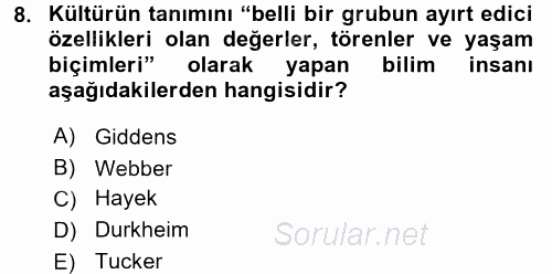 Turizm Sosyolojisi 2015 - 2016 Tek Ders Sınavı 8.Soru