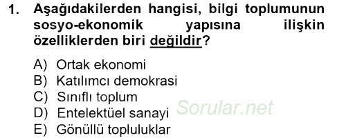 Dış Ticarette Bilgisayar Uygulamaları 2013 - 2014 Tek Ders Sınavı 1.Soru