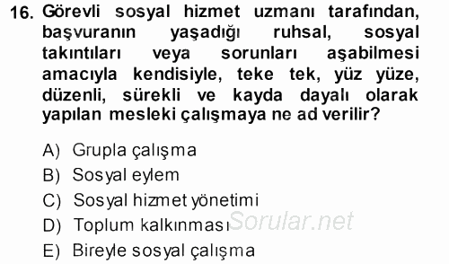 Sosyal Hizmete Giriş 2013 - 2014 Ara Sınavı 16.Soru