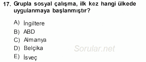 Sosyal Hizmete Giriş 2013 - 2014 Ara Sınavı 17.Soru