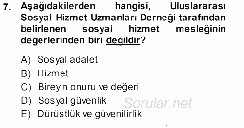 Sosyal Hizmete Giriş 2013 - 2014 Ara Sınavı 7.Soru