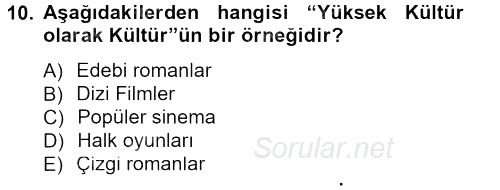 Sosyolojiye Giriş 2014 - 2015 Tek Ders Sınavı 10.Soru