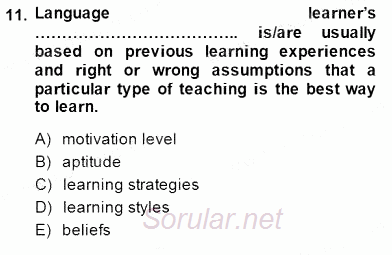 Dil Edinimi 2014 - 2015 Dönem Sonu Sınavı 11.Soru