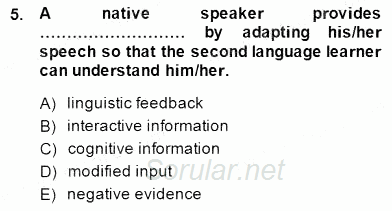 Dil Edinimi 2014 - 2015 Dönem Sonu Sınavı 5.Soru