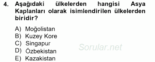 Gelişmekte Olan Ülkelerde Siyaset 2012 - 2013 Dönem Sonu Sınavı 4.Soru