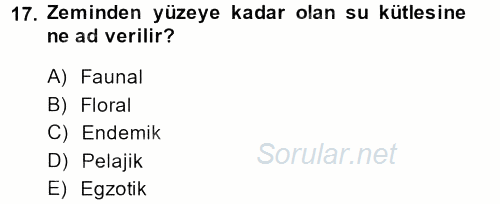 Videonun Kullanım Alanları 2013 - 2014 Tek Ders Sınavı 17.Soru