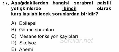 Özel Gereksinimli Bireyler ve Bakım Hizmetleri 2014 - 2015 Tek Ders Sınavı 17.Soru
