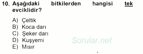 Tarla Bitkileri 1 2012 - 2013 Dönem Sonu Sınavı 10.Soru