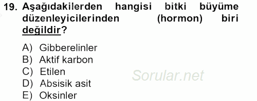 Tarla Bitkileri 1 2012 - 2013 Dönem Sonu Sınavı 19.Soru