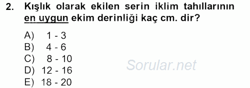 Tarla Bitkileri 1 2012 - 2013 Dönem Sonu Sınavı 2.Soru