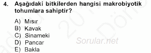 Tarla Bitkileri 1 2012 - 2013 Dönem Sonu Sınavı 4.Soru