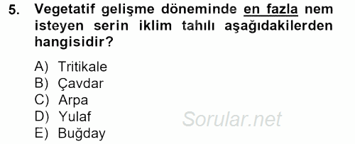 Tarla Bitkileri 1 2012 - 2013 Dönem Sonu Sınavı 5.Soru