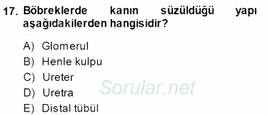 İnsan Anatomisi Ve Fizyolojisi 2013 - 2014 Dönem Sonu Sınavı 17.Soru