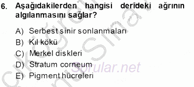 İnsan Anatomisi Ve Fizyolojisi 2013 - 2014 Dönem Sonu Sınavı 6.Soru