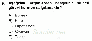 İnsan Anatomisi Ve Fizyolojisi 2013 - 2014 Dönem Sonu Sınavı 9.Soru