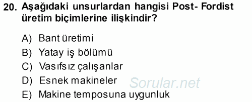Çalışma Sosyolojisi 2013 - 2014 Ara Sınavı 20.Soru