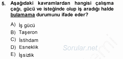 Çalışma Sosyolojisi 2013 - 2014 Ara Sınavı 5.Soru