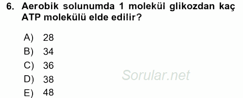 Gıda Bilimi ve Teknolojisi 2016 - 2017 Ara Sınavı 6.Soru