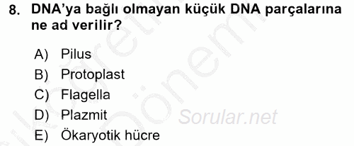 Gıda Bilimi ve Teknolojisi 2016 - 2017 Ara Sınavı 8.Soru