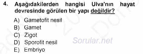 Genel Biyoloji 2 2012 - 2013 Dönem Sonu Sınavı 4.Soru