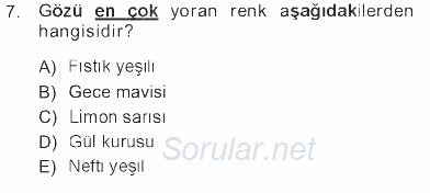 Giysi Seçimi 2012 - 2013 Tek Ders Sınavı 7.Soru