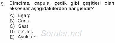 Giysi Seçimi 2012 - 2013 Tek Ders Sınavı 9.Soru